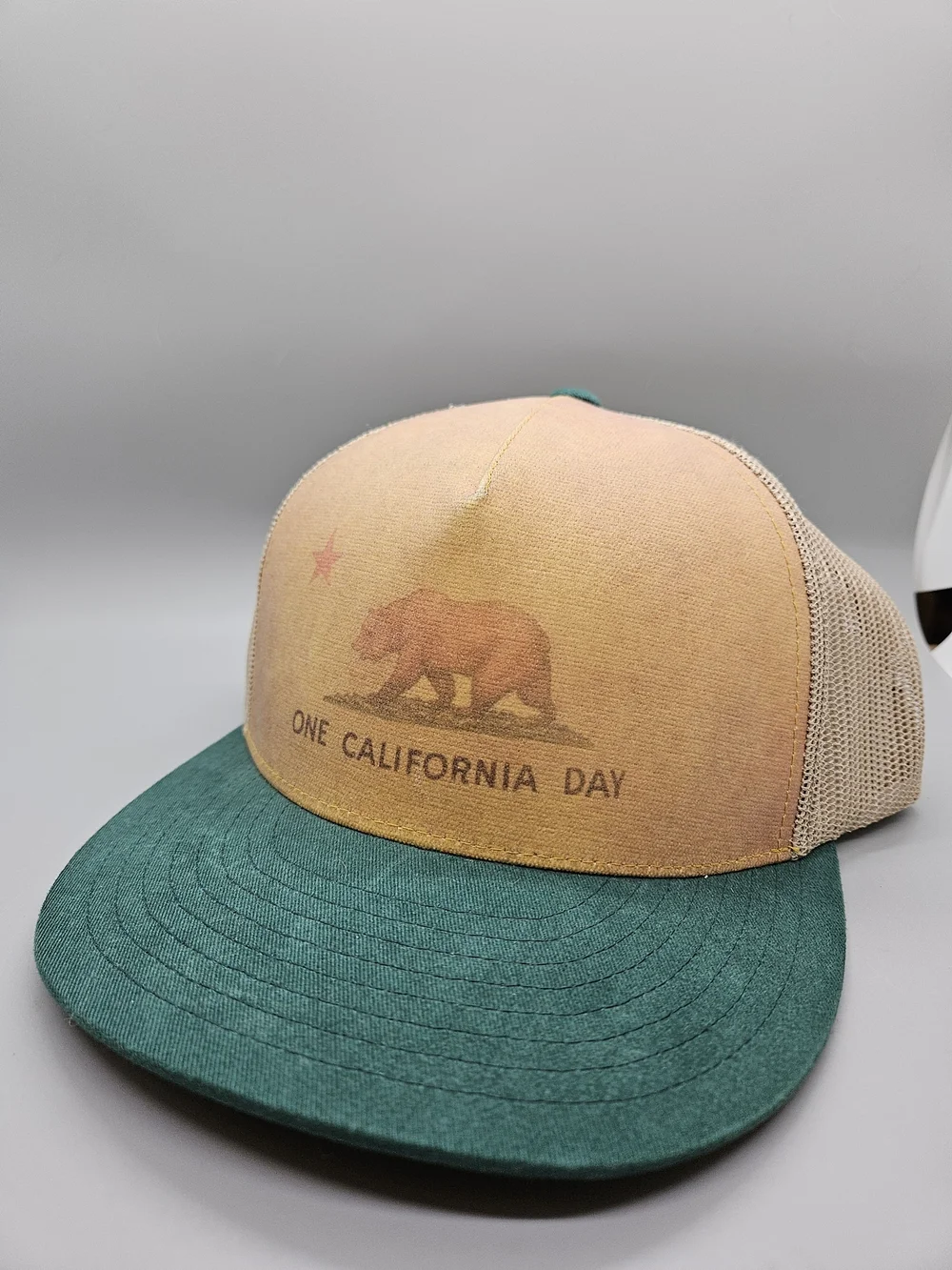 NWT Toes On The Nose One California Day Snapback Trucker Hat Green Tan Bear OSFA